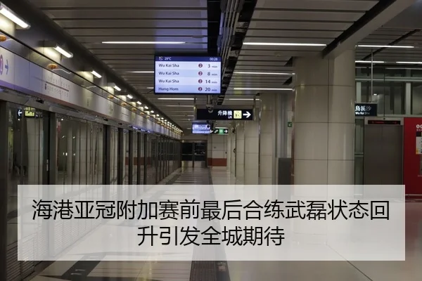 海港亚冠附加赛前最后合练武磊状态回升引发全城期待