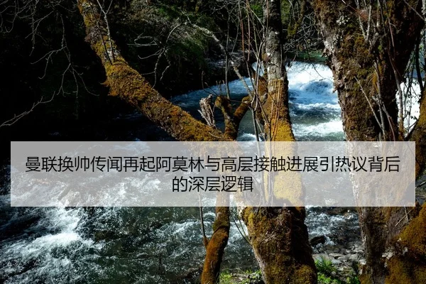 曼联换帅传闻再起阿莫林与高层接触进展引热议背后的深层逻辑